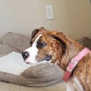 Meet your Posher, Young